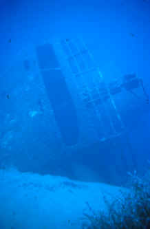 ELVISCOT Pomonte Isola d’  Elba