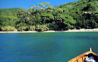 Ottonella Spiagge elba