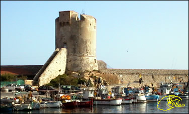 La torre pisana marciana marina